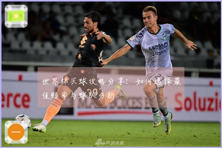 世界杯买球攻略分享：如何选择最佳赔率与球队分析