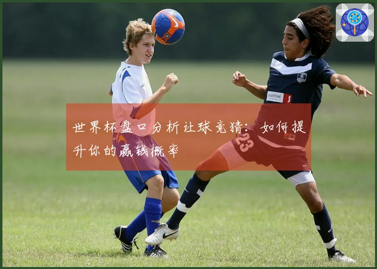 世界杯盘口分析让球竞猜：如何提升你的赢钱概率