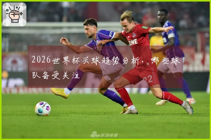 2026世界杯买球趋势分析，哪些球队备受关注
