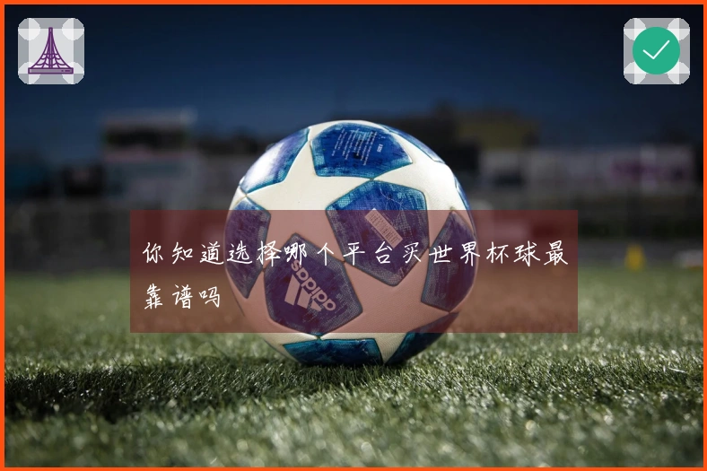 你知道选择哪个平台买世界杯球最靠谱吗
