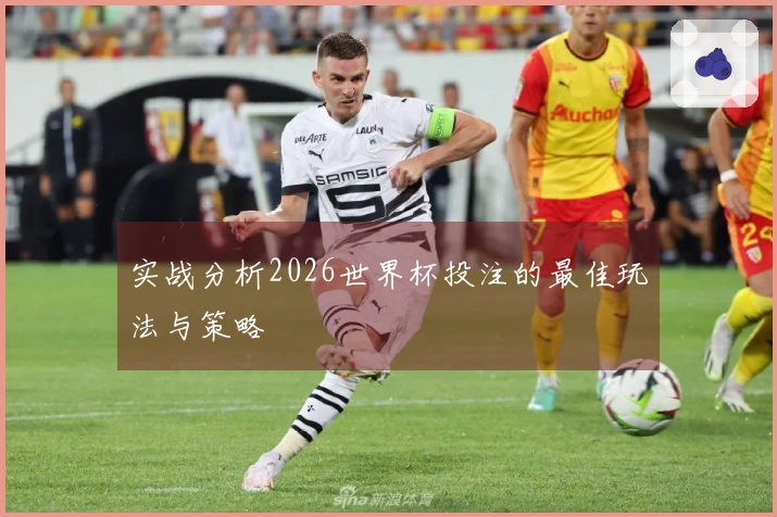 实战分析2026世界杯投注的最佳玩法与策略