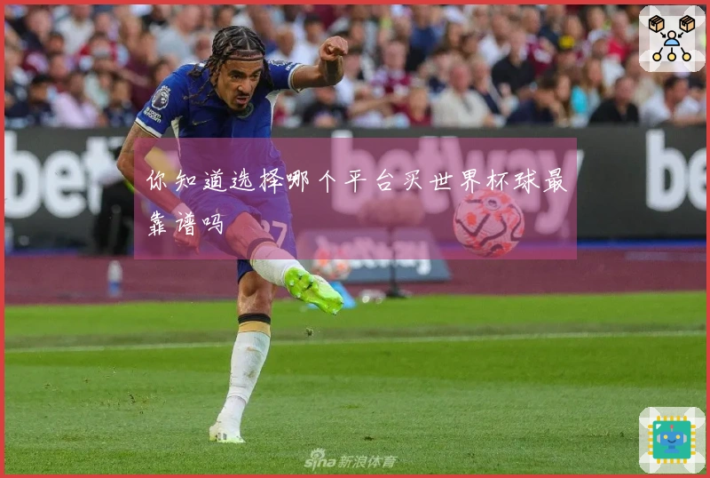 你知道选择哪个平台买世界杯球最靠谱吗