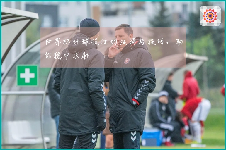 世界杯让球投注的诀窍与技巧，助你稳中求胜