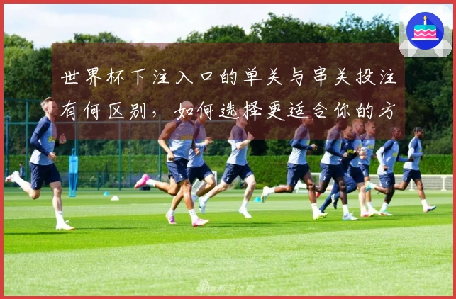 世界杯下注入口的单关与串关投注有何区别,如何选择更适合你的方式?