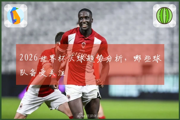2026世界杯买球趋势分析，哪些球队备受关注