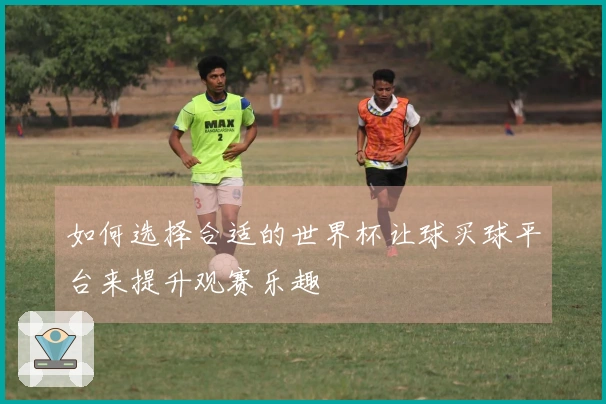 如何选择合适的世界杯让球买球平台来提升观赛乐趣