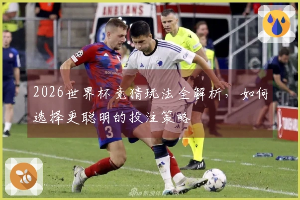 2026世界杯竞猜玩法全解析，如何选择更聪明的投注策略
