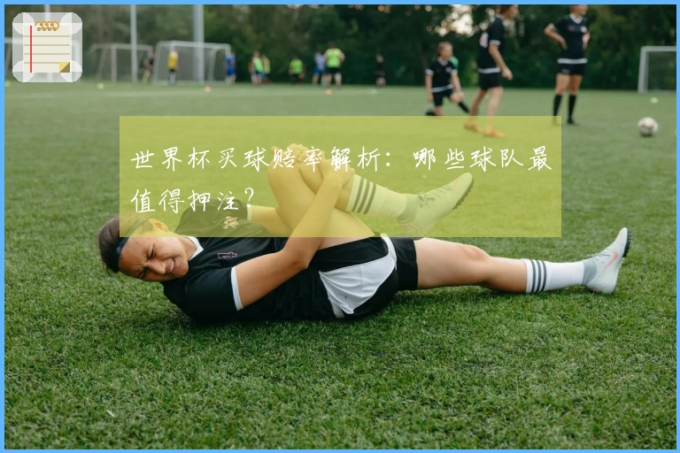 世界杯买球赔率解析:哪些球队最值得押注?