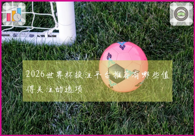 2026世界杯投注平台推荐有哪些值得关注的选项