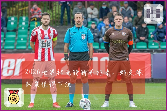 2026世界杯竞猜新手指南，哪支球队最值得下注