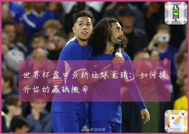世界杯盘口分析让球竞猜：如何提升你的赢钱概率